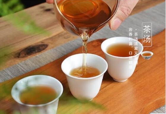 Tylin is ontwikkeld door kruising van het Tea Research Institute van de Fujian Academy of Agricultural Sciences met tiegua
