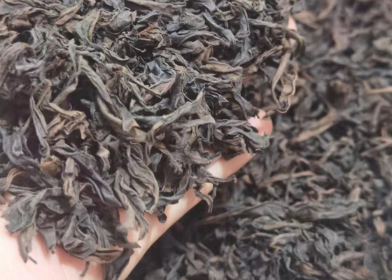 DA HONG PAO